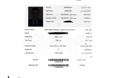 تأشيرات-رحلة-حج-شركة-المصريين-للسياحة-لحجاج-هيئة-الإستثمار