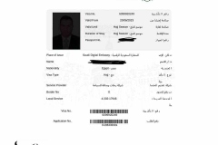 تأشيرات-رحلة-رحلة-حج-شركة-المصريين-للسياحة-الخاصة-بحجاج-هيئة-الإستثمار