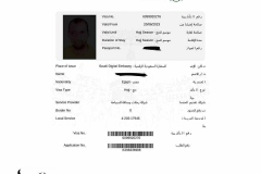 تأشيرات-رحلة-رحلة-حج-شركة-المصريين-للسياحة-لحجاج-هيئة-الإستثمار