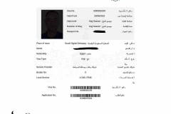 تأشيرة-حجاج-بيت-الله-من-هيئة-الإستثمار-المصرية