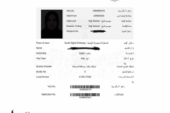 تأشيرة-رحلة-حج-شركة-المصريين-للسياحة-لحجاج-هيئة-الإستثمار