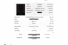 تأشيرة-من-تأشيرات-رحلة-حج-شركة-المصريين-للسياحة-لحجاج-هيئة-الإستثمار
